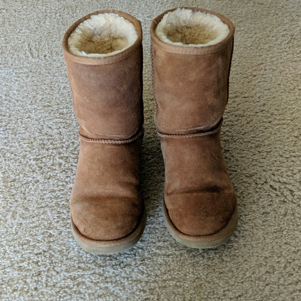 Uggs in Chestnut